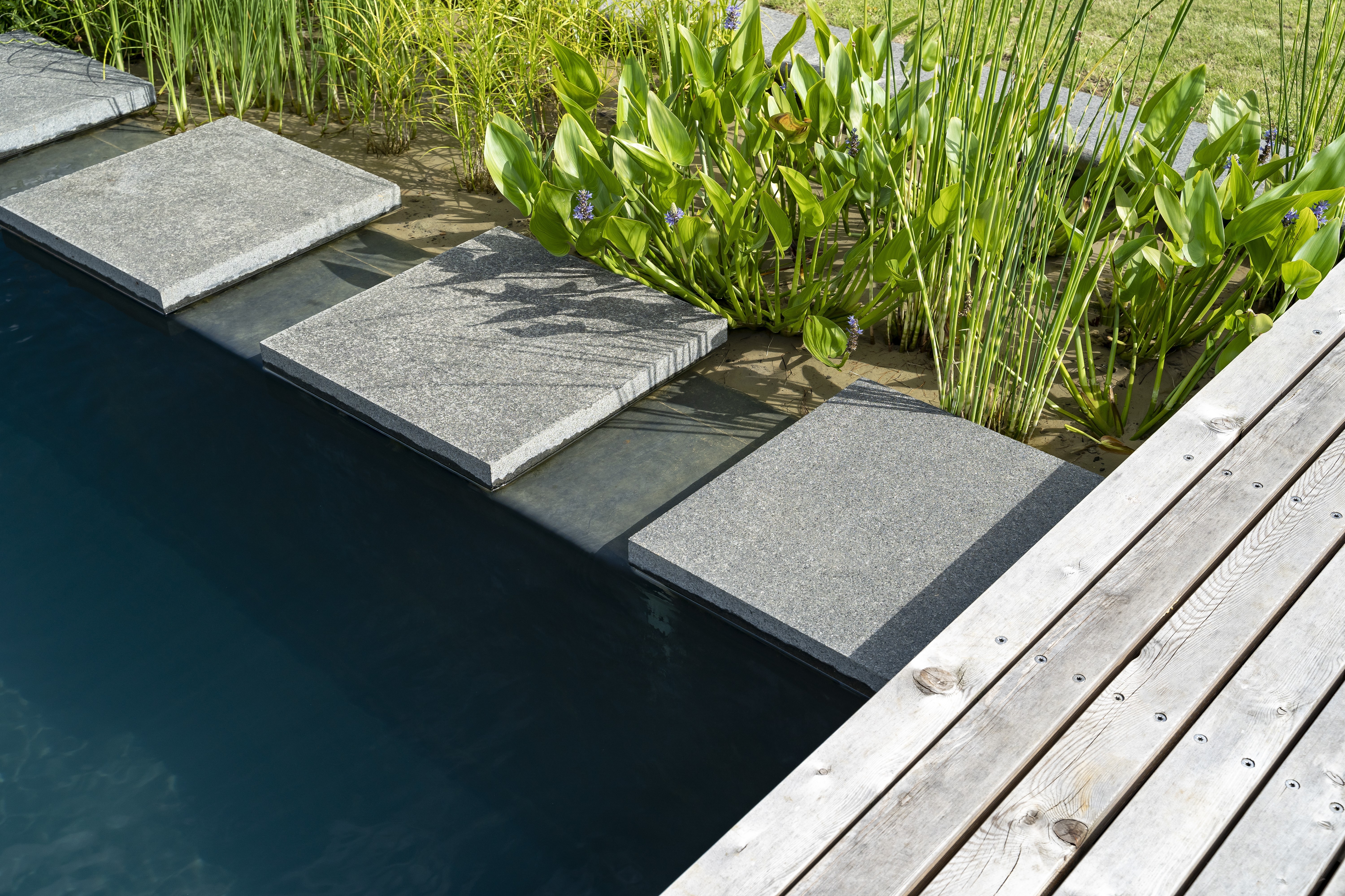 rectangular-designer-pond-South Norfolk-UK-detail